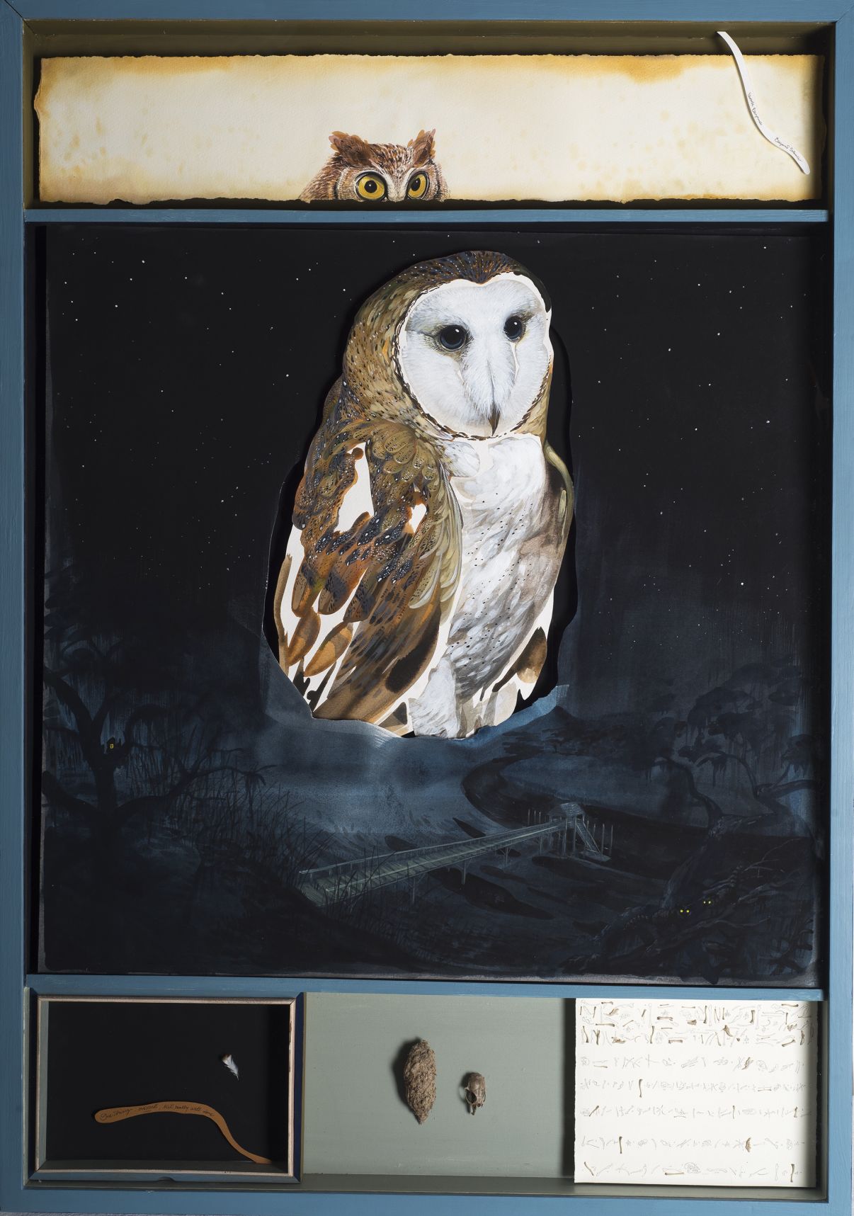 Hitnes_2_Barn Owl.jpg